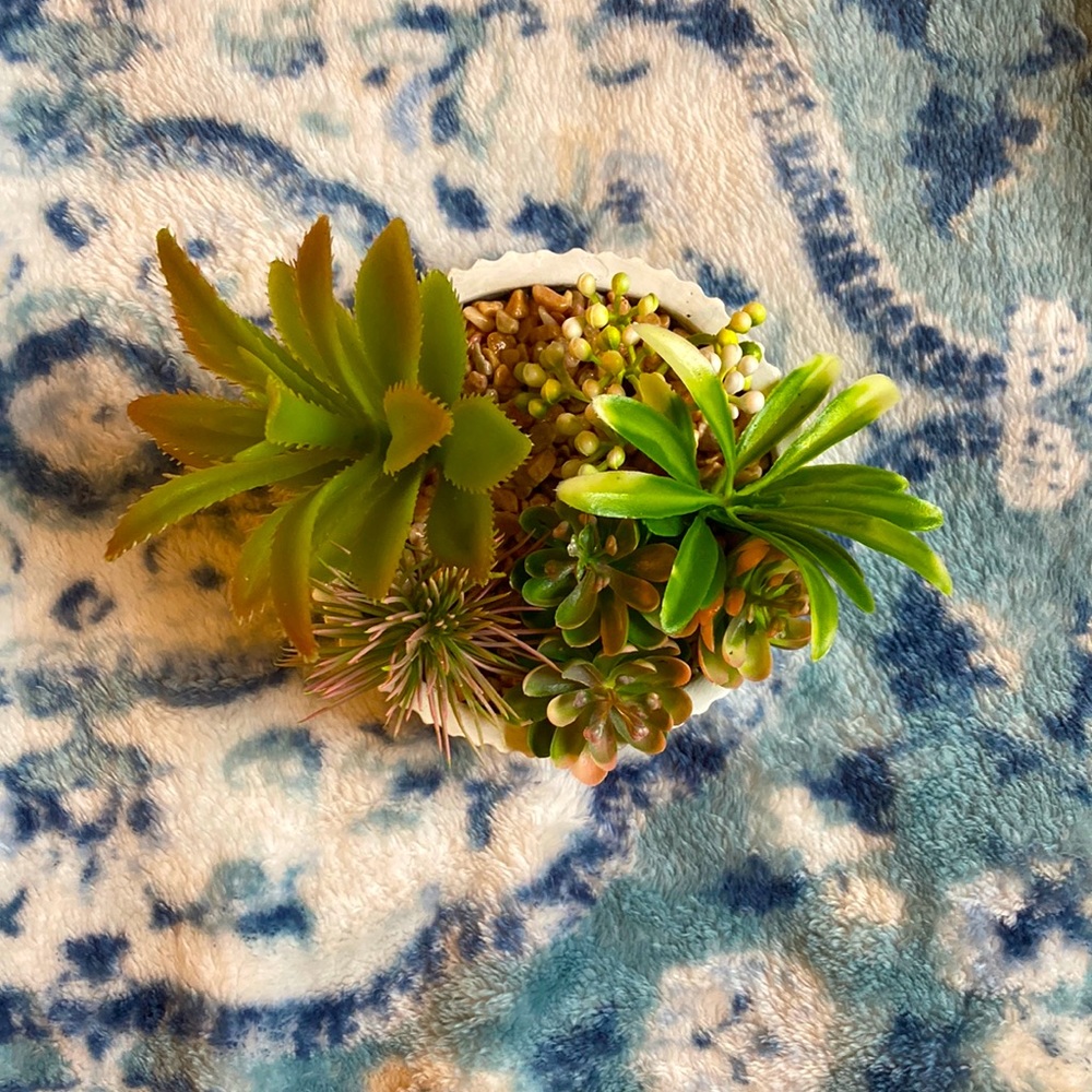 fake succulent pot